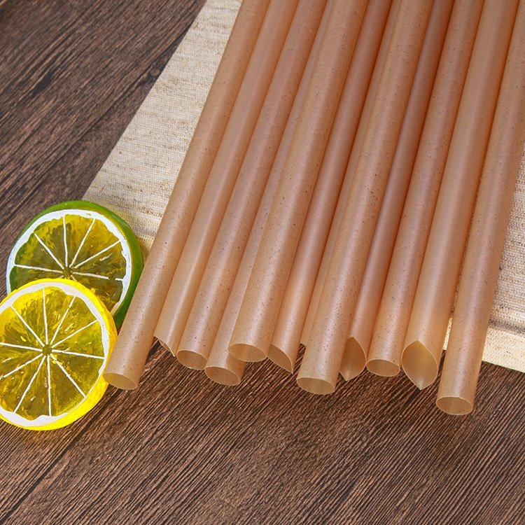 Biodegradable Natural Bagsasse Sugar Cane Straws - 图片 2